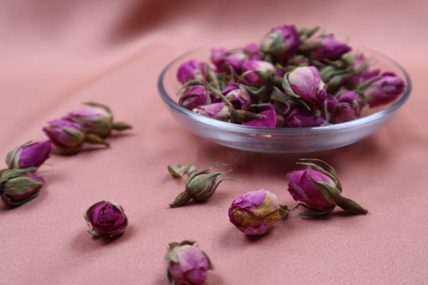 تصویر 2 از غنچه گل محمدی غنچه گل محمدی تلفیق زیبایی و عطر طبیعی